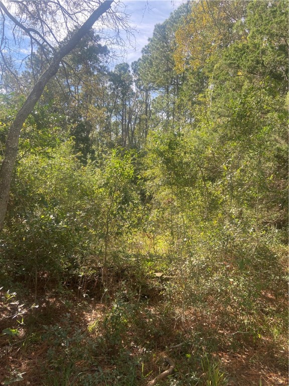 85012 Blackmon Road Yulee, FL 32097 - Photo 10 of 18 Gallery Image 10