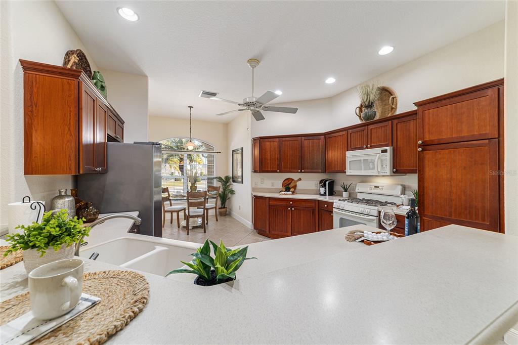 973 Isle Of Palms Path The Villages, FL 32162 - Photo 26 of 72