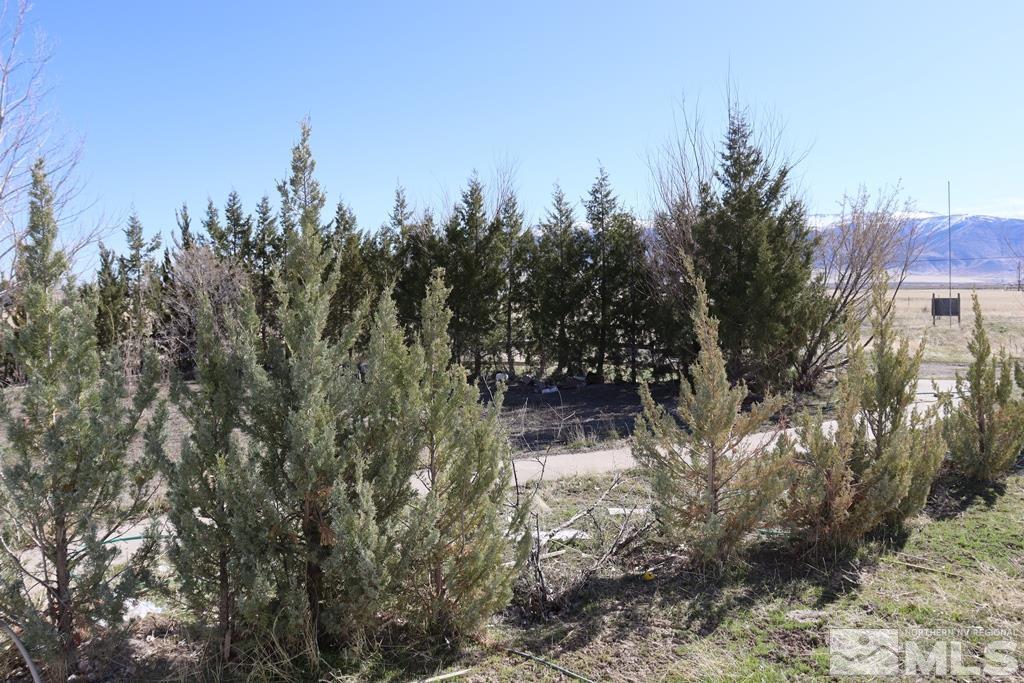270 McNeil Road Winnemucca, NV 89445 - Photo 15 of 21 a view of a forest filled with trees