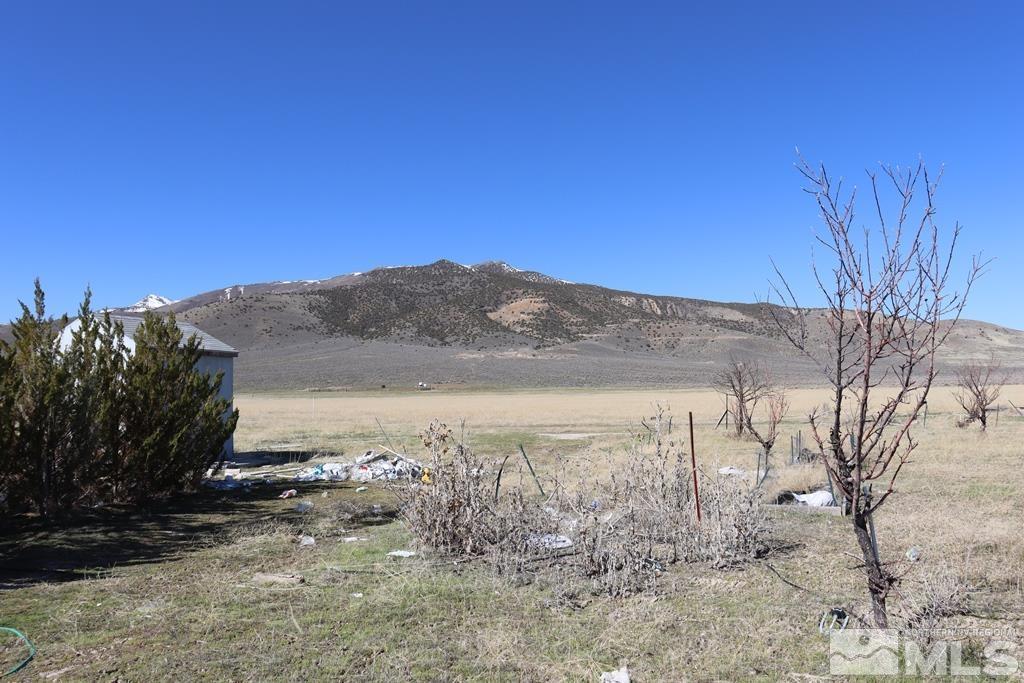 270 McNeil Road Winnemucca, NV 89445 - Photo 18 of 21 a view of a dry yard with trees