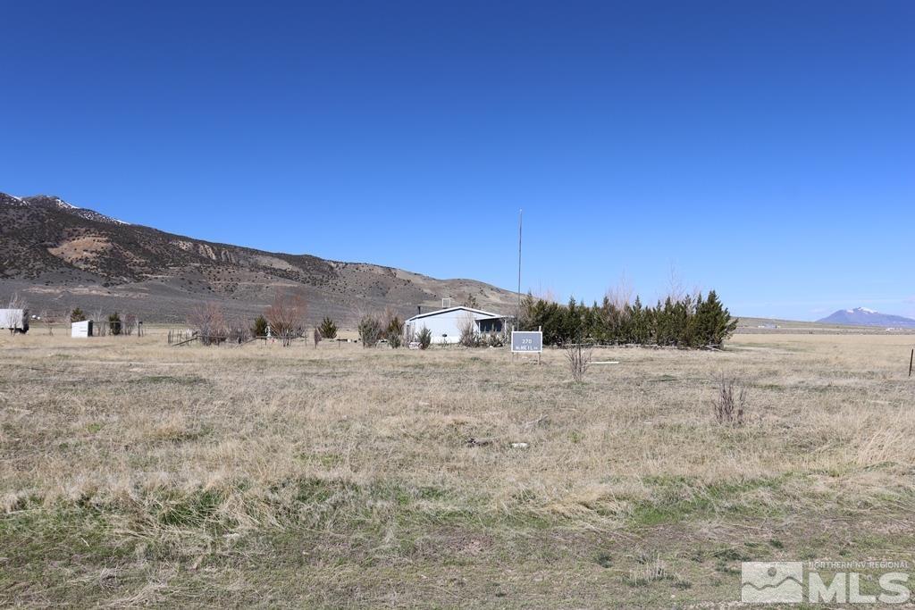 270 McNeil Road Winnemucca, NV 89445 - Photo 21 of 21 a view of a dry yard with large trees
