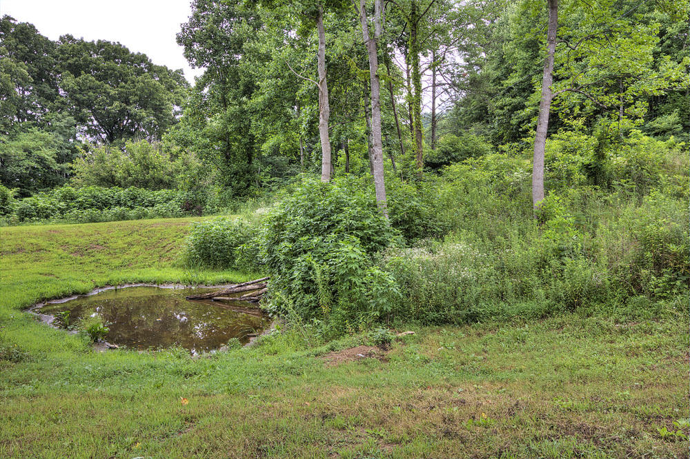 4283 Byrds Cross Road Sevierville, TN 37876 - Photo 38 of 39 4283 Byrds Cross Rd Sevierville TN 37876