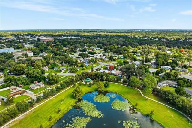 a view of a trees in a yard