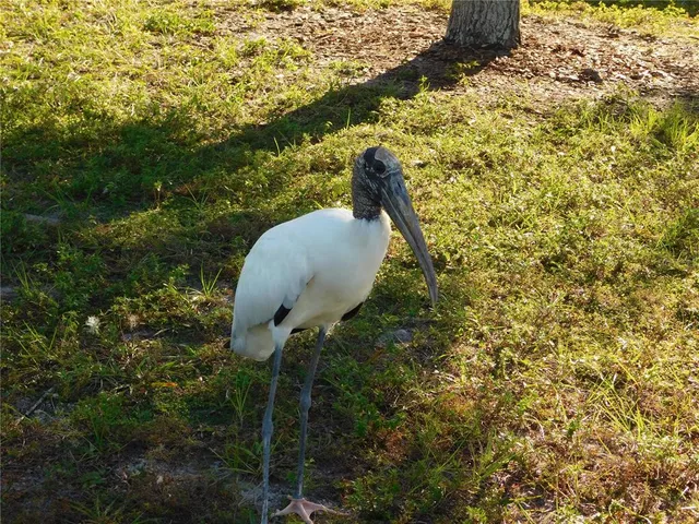 $399,900 | 910 Cherokee Circle, Sanford, FL 32773