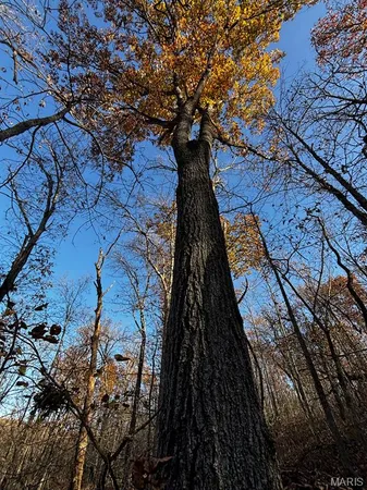 $206,500 | 0 Highway K Sullivan Mo 63080, Sullivan, MO 63080