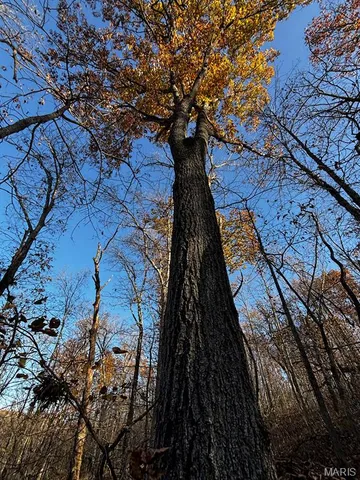 $206,500 | 0 Highway K Sullivan Mo 63080, Sullivan, MO 63080