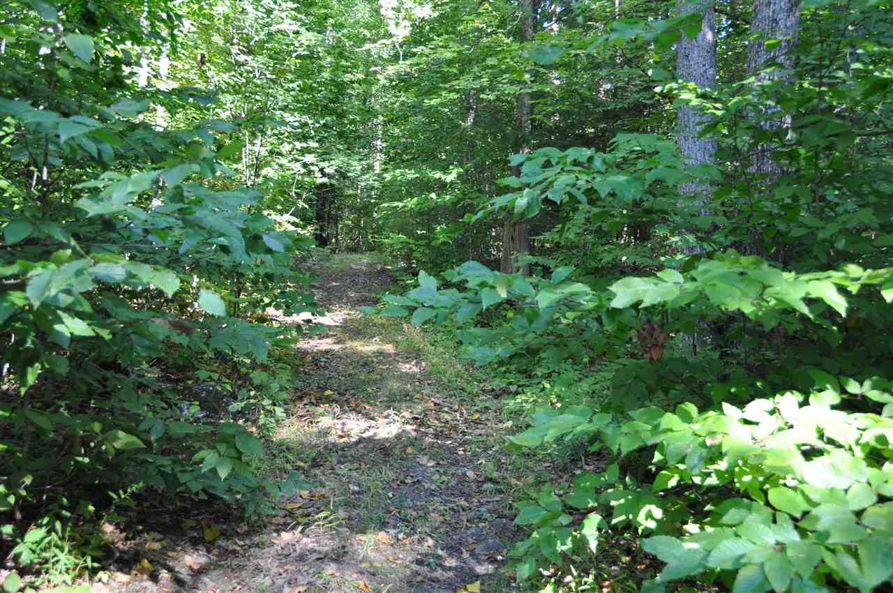 Lot 3 Piper Ridge Middlebury, VT 05753 - Photo 1 of 4