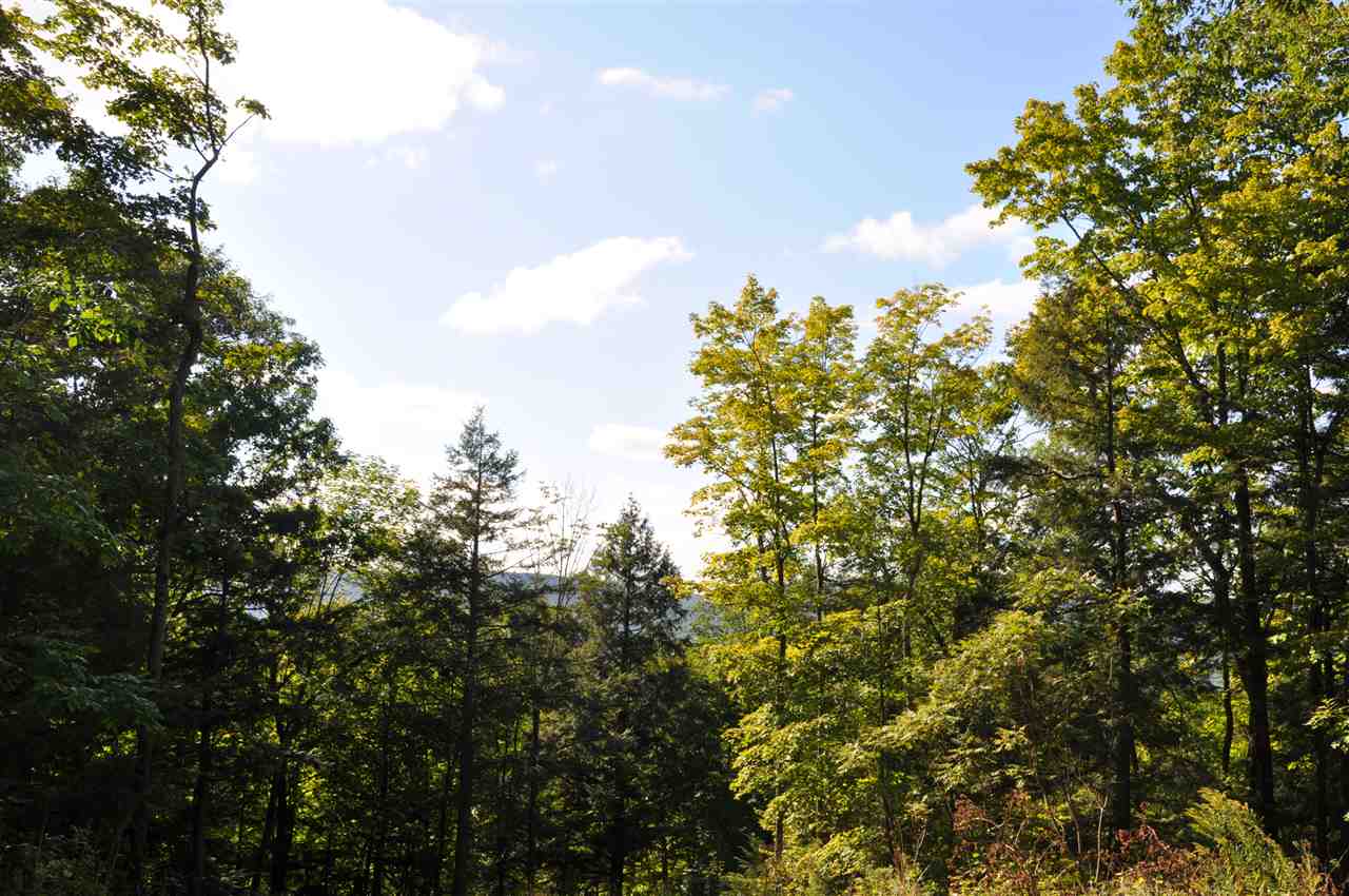 Lot 3 Piper Ridge Middlebury, VT 05753 - Photo 4 of 4