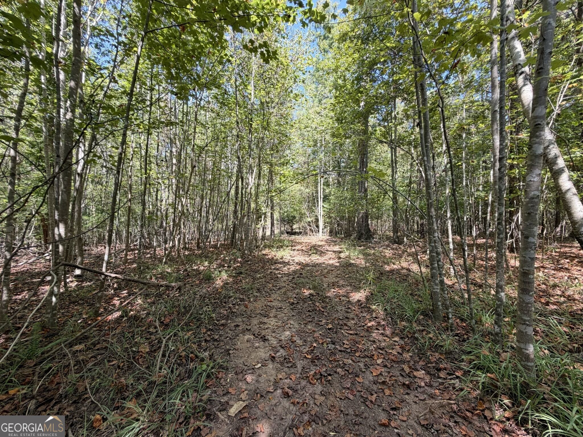 11 Bunch Road Tignall, GA 30668 - Photo 46 of 81 Gallery Image 46