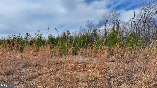 $160,000 | 0 Wesbey Drive, Louisa, VA 23093