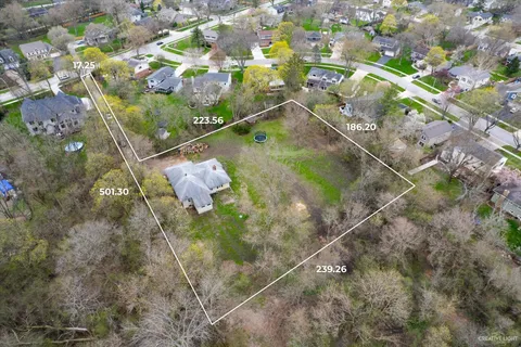 a picture of flowers