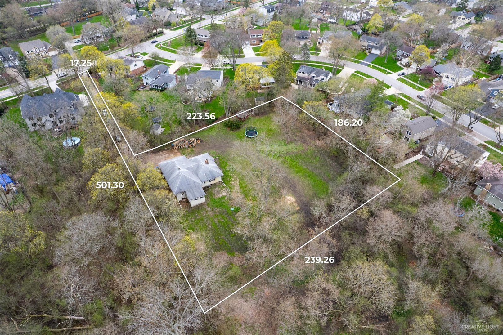 1601 West Wiesbrook Road Wheaton, IL 60189 - Photo 5 of 9 a picture of flowers