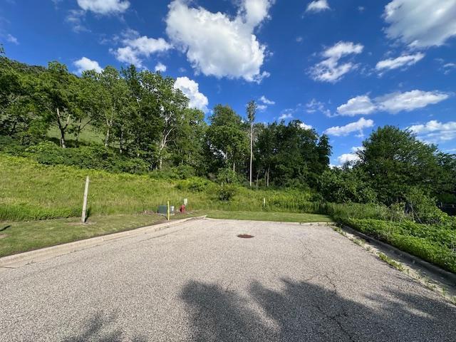 0 Novlan Avenue Rushford, MN 55971 - Photo 2 of 9