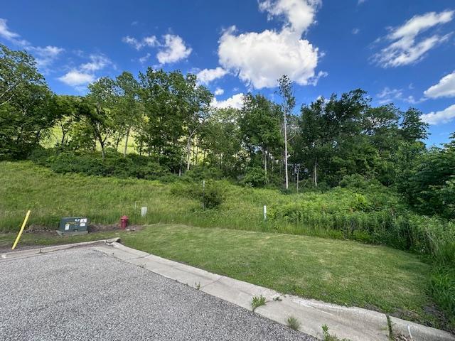 0 Novlan Avenue Rushford, MN 55971 - Photo 3 of 9