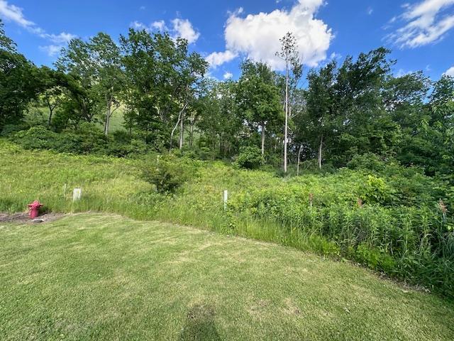 0 Novlan Avenue Rushford, MN 55971 - Photo 5 of 9