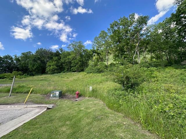 0 Novlan Avenue Rushford, MN 55971 - Photo 6 of 9