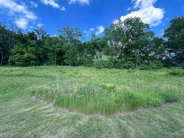 $139,900 | 0 Novlan Avenue, Rushford, MN 55971