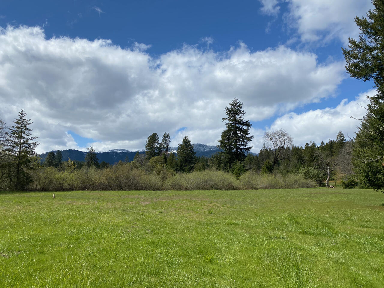 995 Indian Creek Road Selma, OR 97538 - Photo 4 of 24 995 Indian Creek Rd