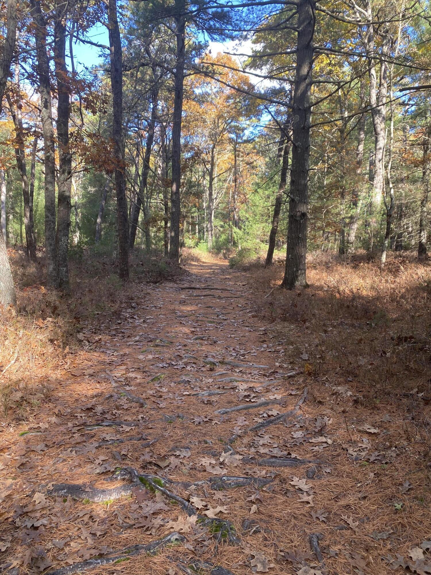 270 Mashpee Neck Road Mashpee, MA 02649 - Photo 32 of 36 a view of outdoor space and trees