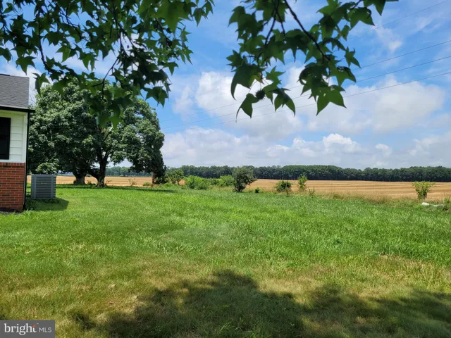 a view of a garden with a tree in the background