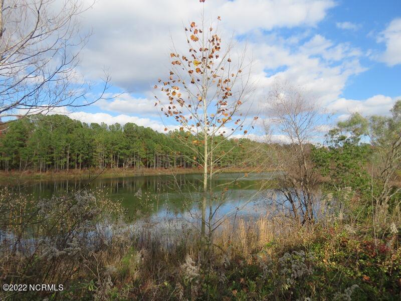 0 Lovette Road Lumberton, NC 28358 - Photo 34 of 39 IMG_6312