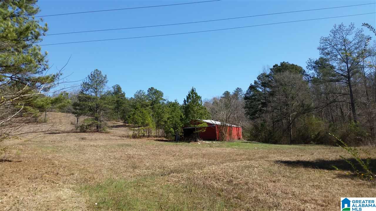 3425 George Key Road Warrior, AL 35180 - Photo 3 of 6