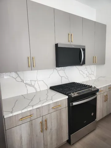 $2,950 | 4625 South Michigan Avenue, Unit 2, Chicago, IL 60653