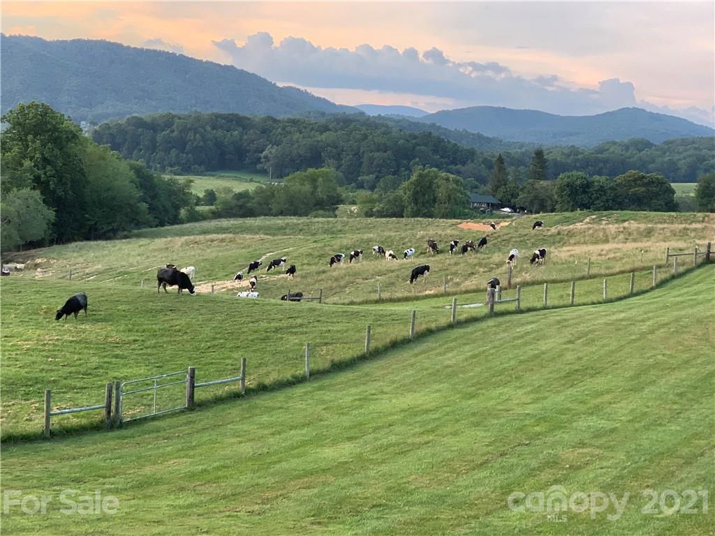 605 Souther Road Fletcher, NC 28732 - Photo 2 of 31 a view of a lush green hillside and houses