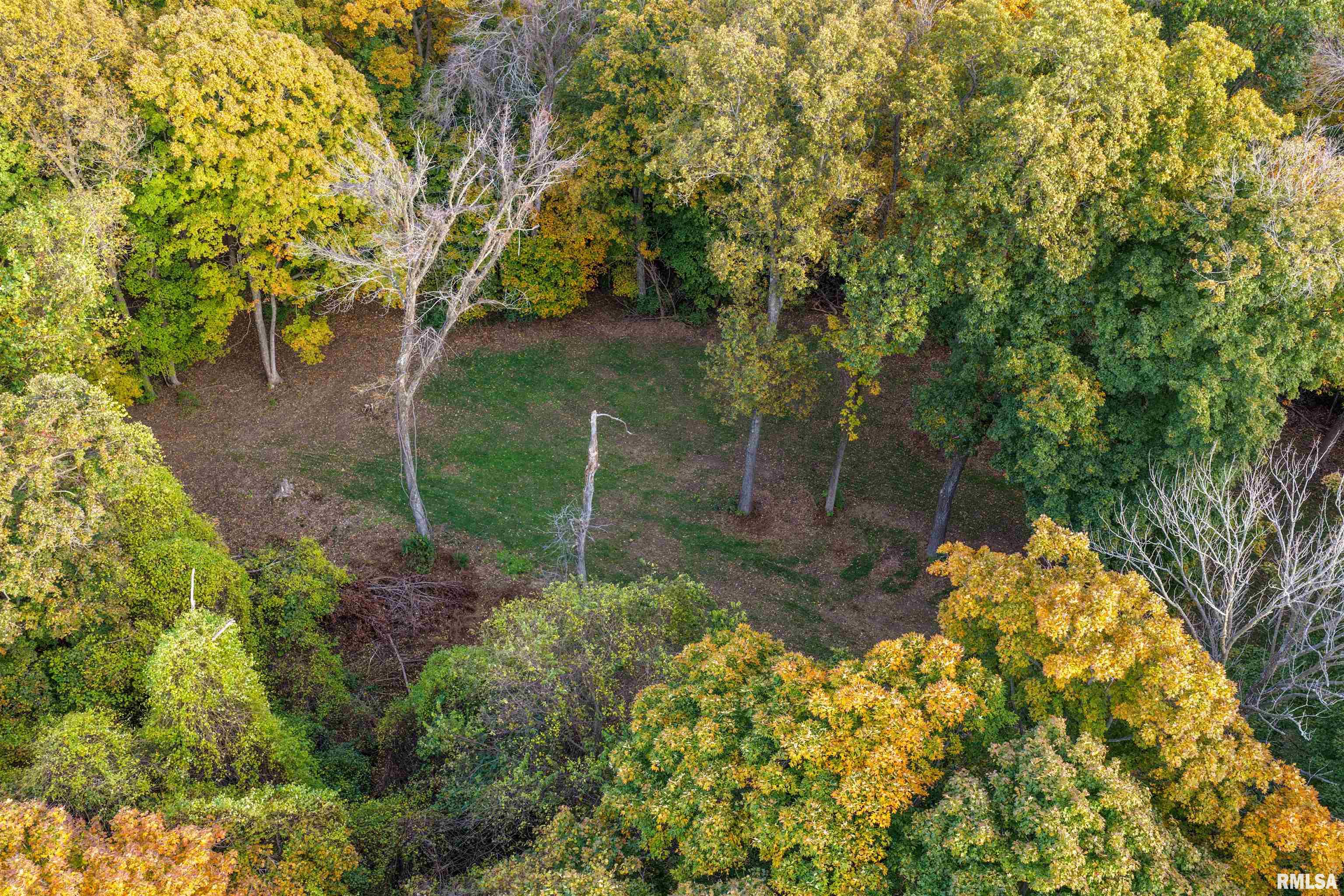 0 Eldred Road Fieldon, IL 62031 - Photo 11 of 76