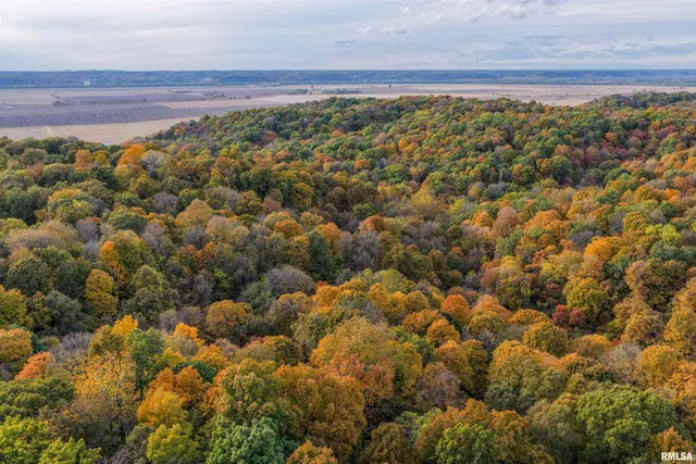 $1,347,500 | 0 Eldred Road, Fieldon, IL 62031