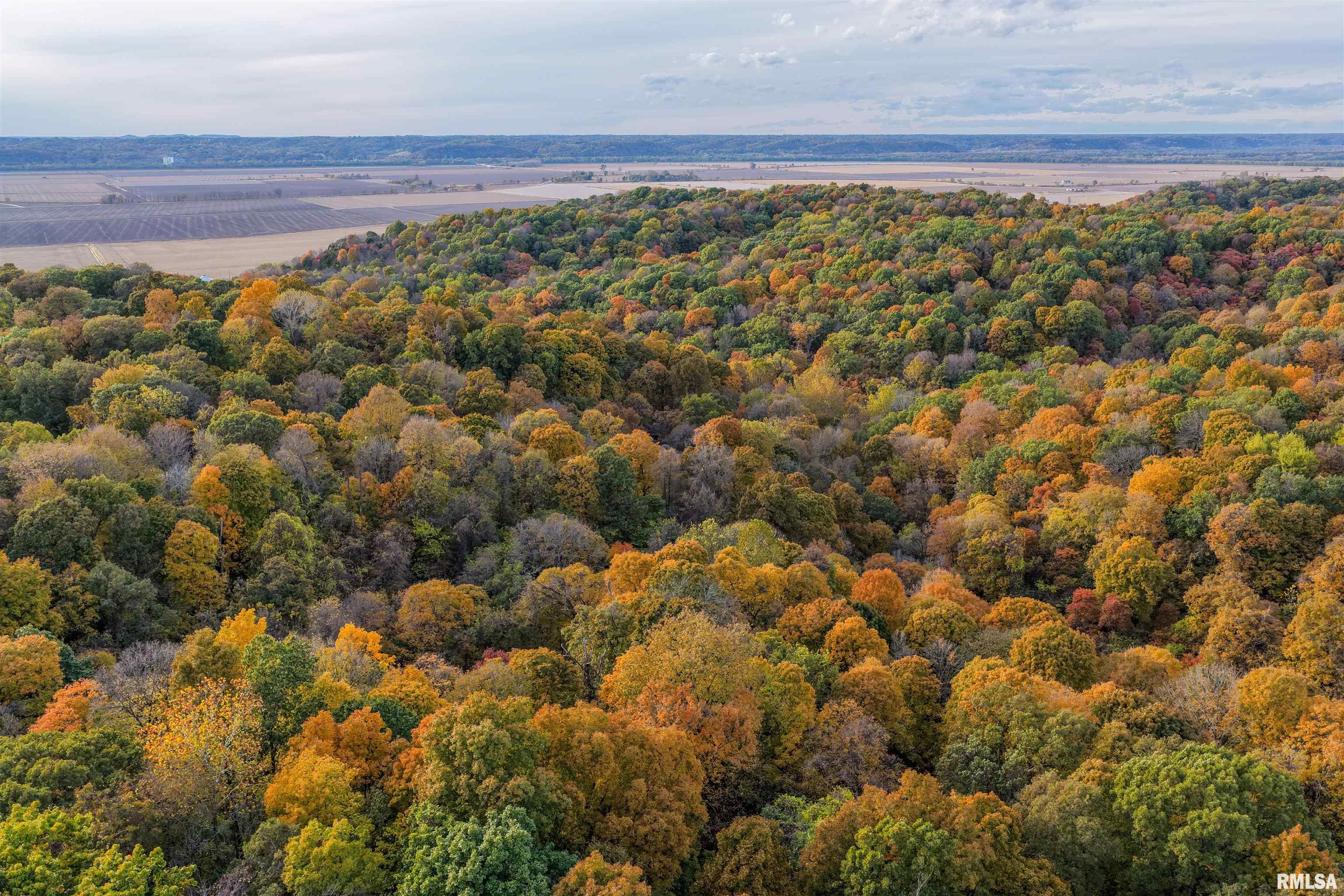 0 Eldred Road Fieldon, IL 62031 - Photo 12 of 76