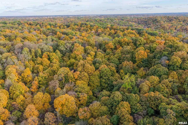 $1,347,500 | 0 Eldred Road, Fieldon, IL 62031