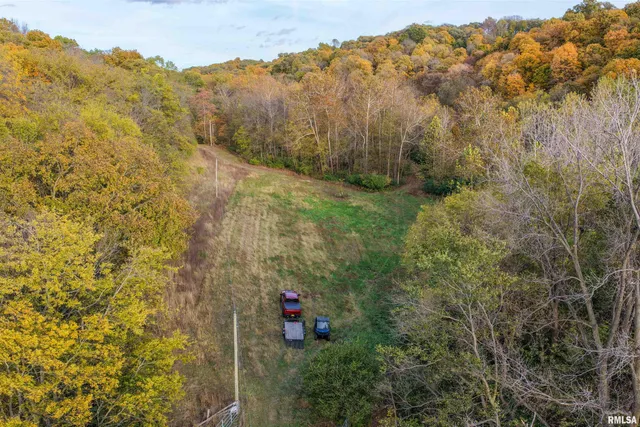 $1,347,500 | 0 Eldred Road, Fieldon, IL 62031