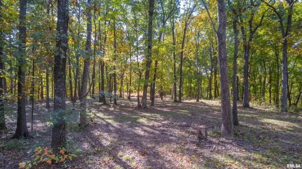 $1,274,000 | 0 Eldred Road, Fieldon, IL 62031