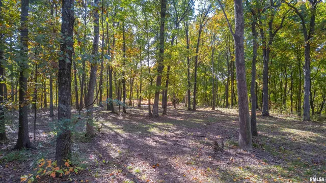 $1,347,500 | 0 Eldred Road, Fieldon, IL 62031