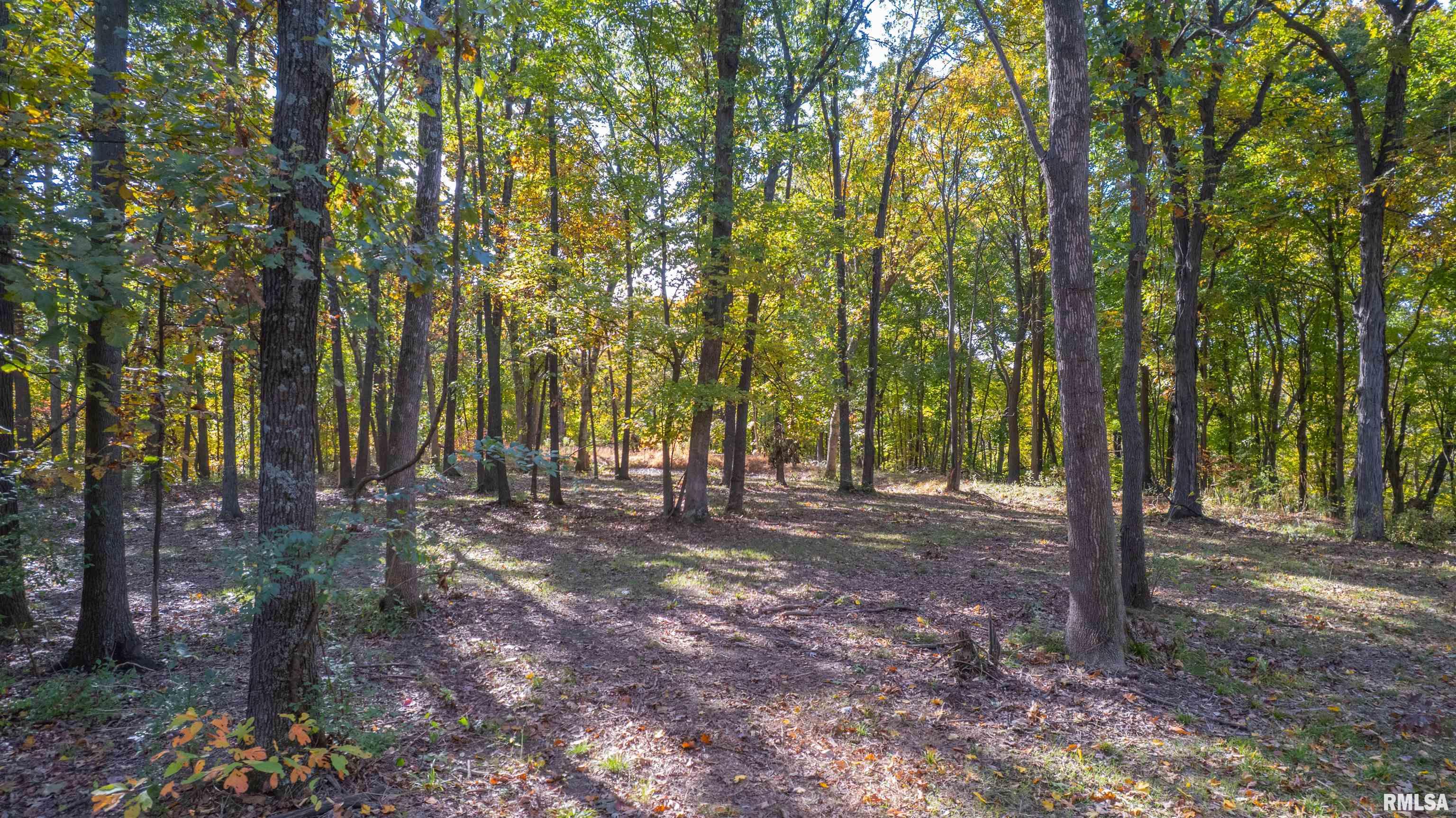 0 Eldred Road Fieldon, IL 62031 - Photo 15 of 76