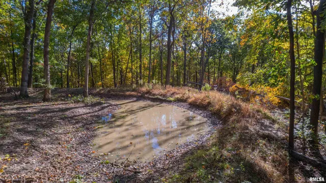 $1,347,500 | 0 Eldred Road, Fieldon, IL 62031