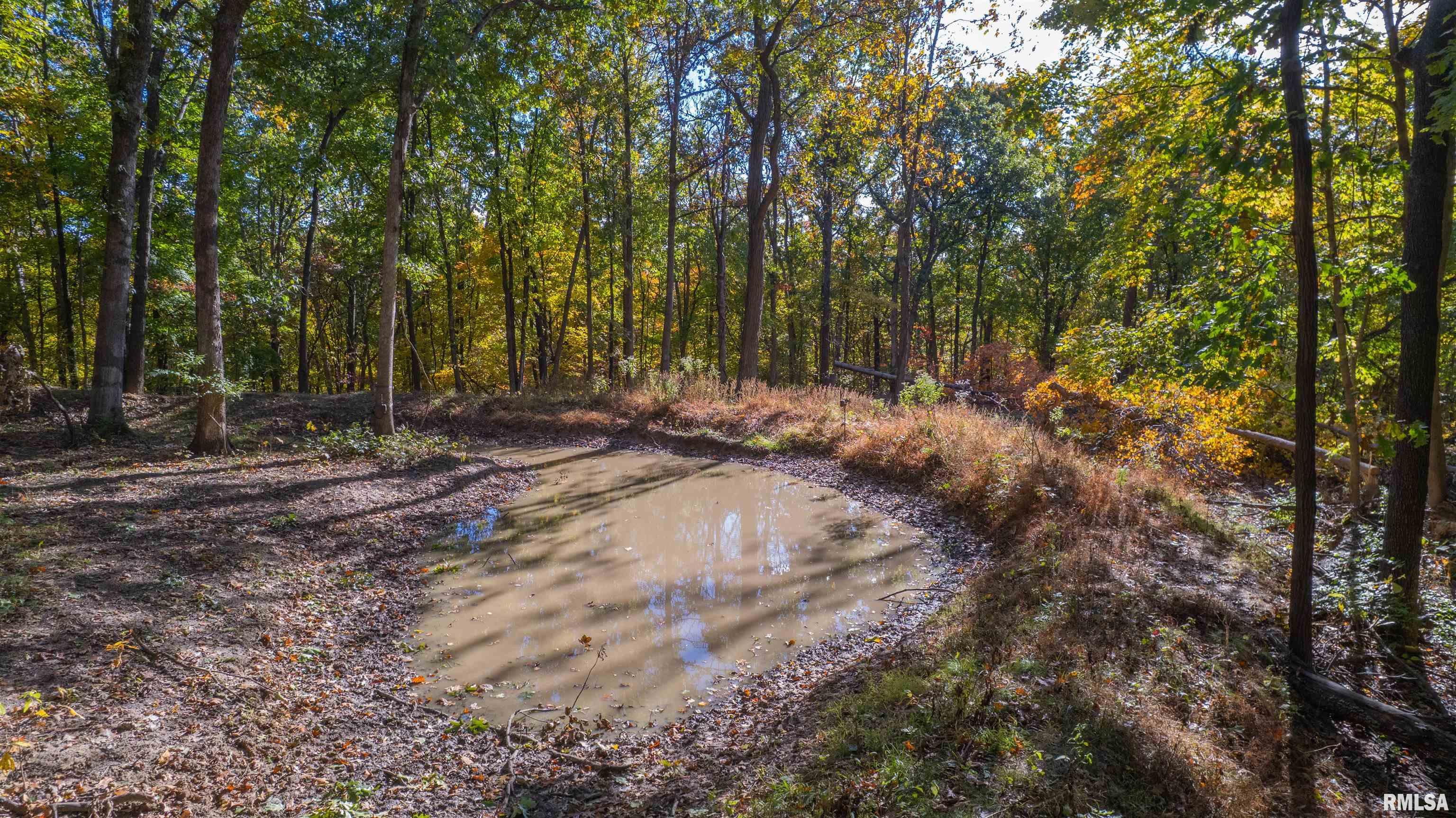 0 Eldred Road Fieldon, IL 62031 - Photo 16 of 76