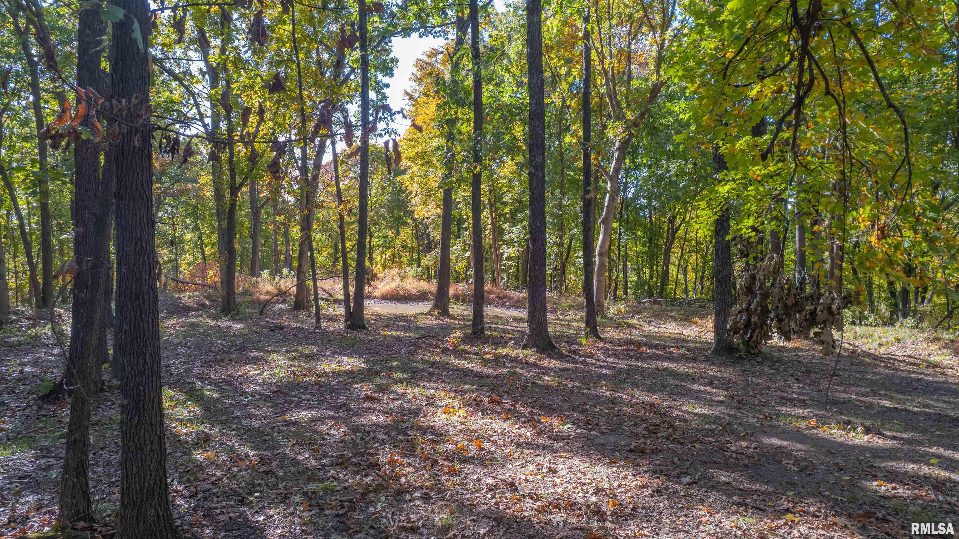 0 Eldred Road Fieldon, IL 62031 - Photo 17 of 76