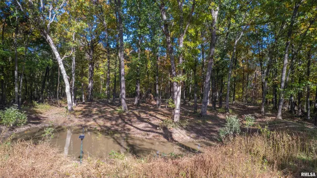 $1,347,500 | 0 Eldred Road, Fieldon, IL 62031