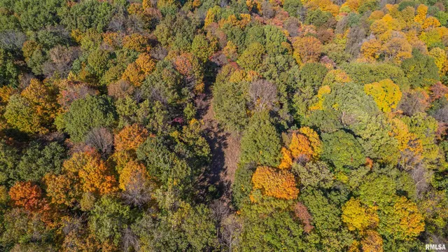 $1,347,500 | 0 Eldred Road, Fieldon, IL 62031