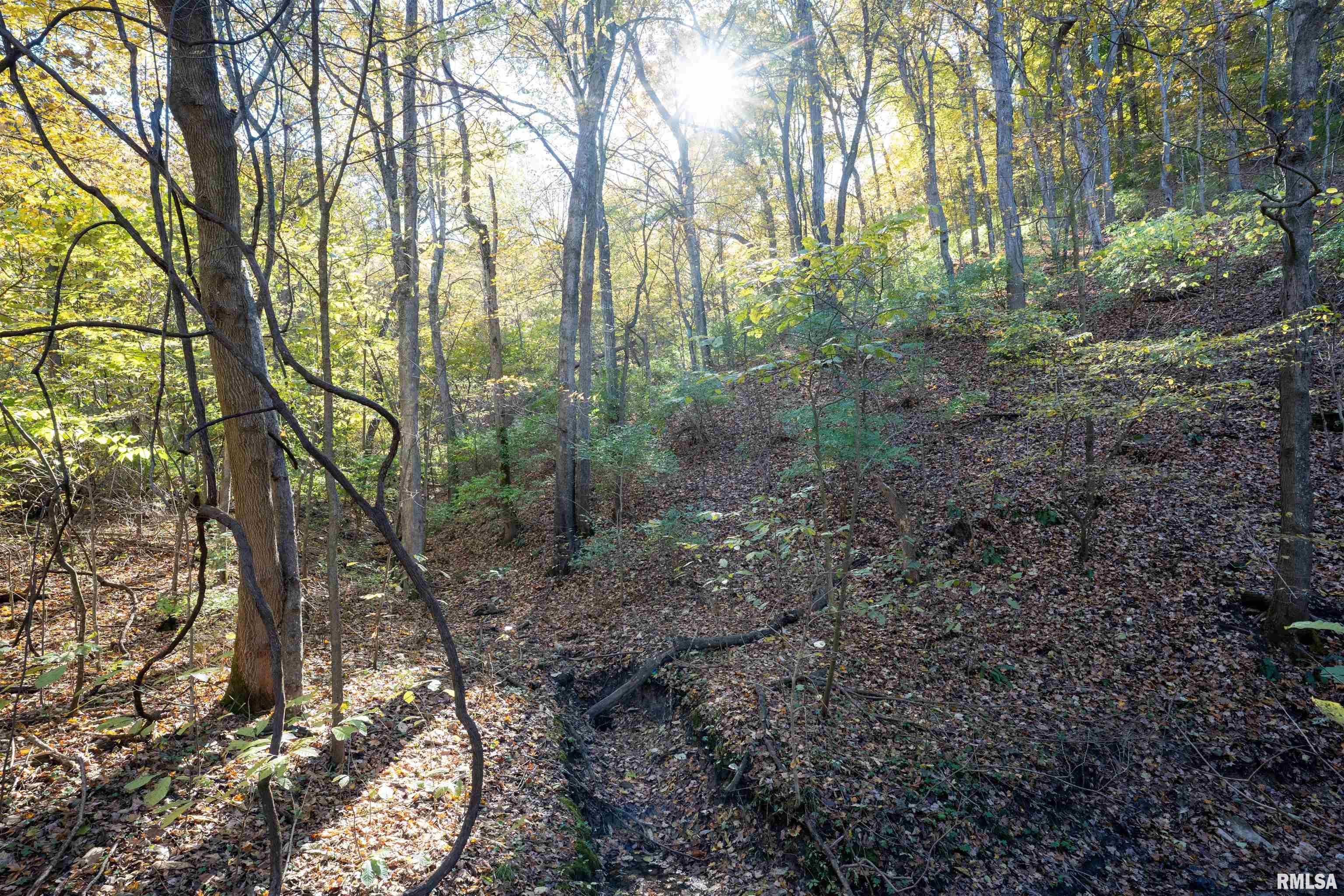 0 Eldred Road Fieldon, IL 62031 - Photo 20 of 76