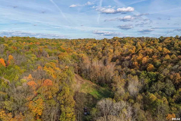 $1,274,000 | 0 Eldred Road, Fieldon, IL 62031