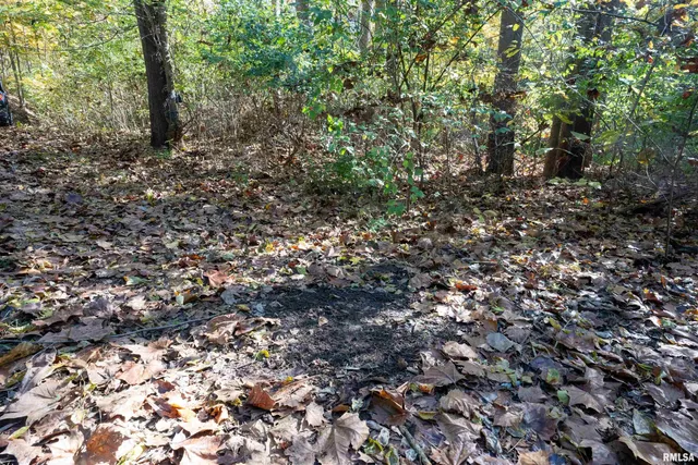 $1,347,500 | 0 Eldred Road, Fieldon, IL 62031