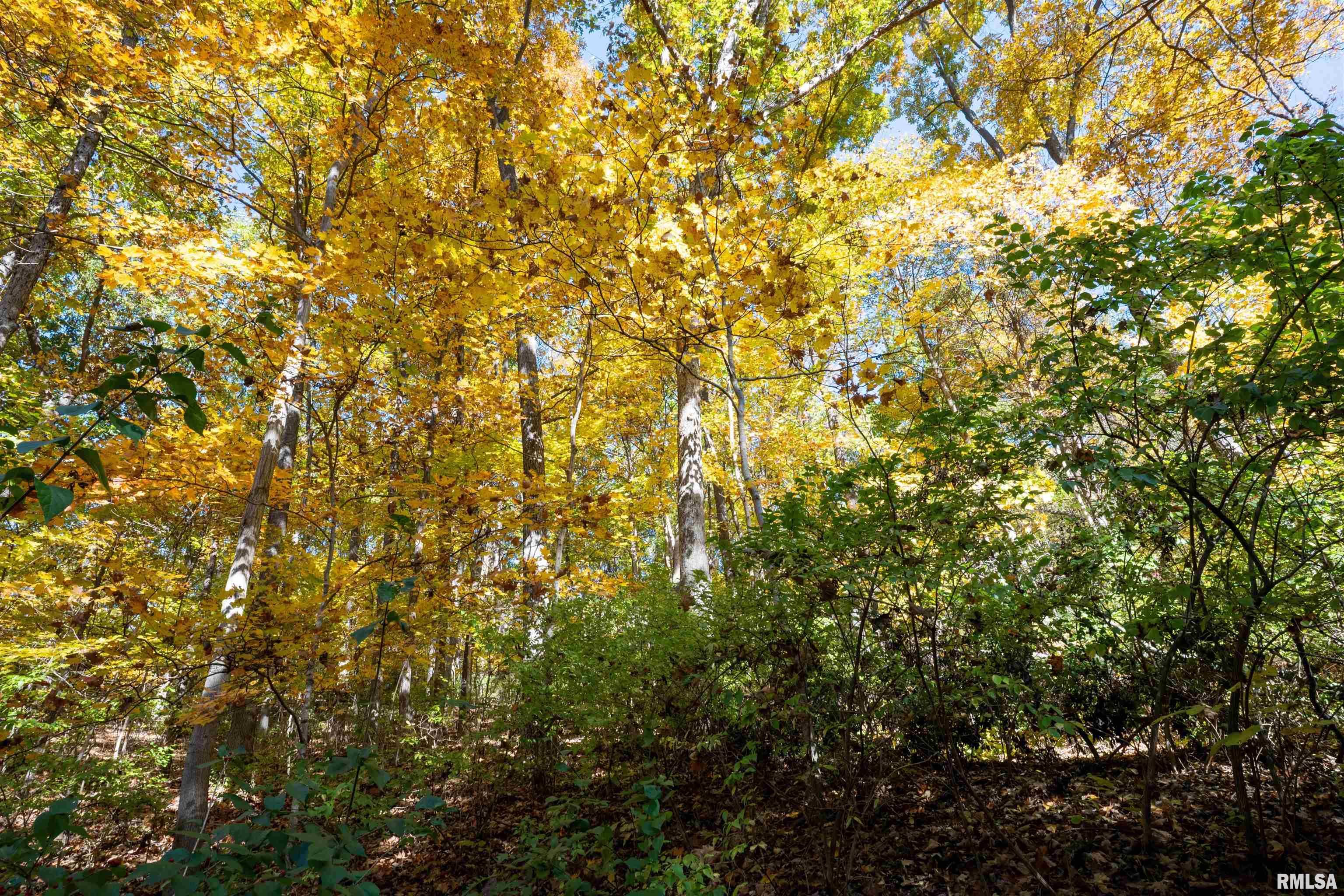 0 Eldred Road Fieldon, IL 62031 - Photo 22 of 76