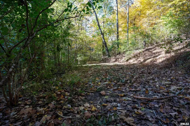 $1,347,500 | 0 Eldred Road, Fieldon, IL 62031