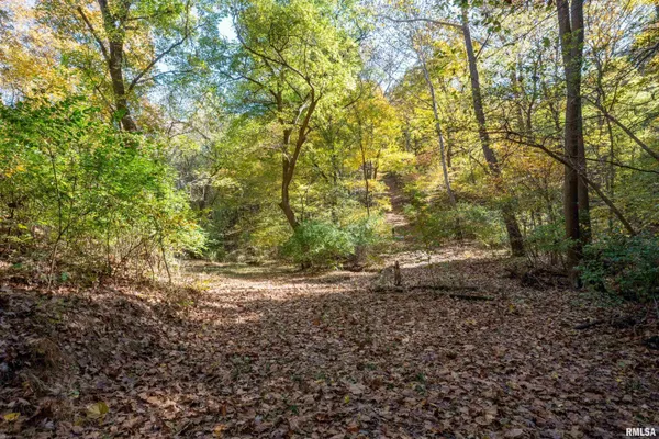$1,274,000 | 0 Eldred Road, Fieldon, IL 62031