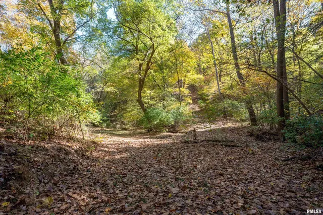 $1,347,500 | 0 Eldred Road, Fieldon, IL 62031