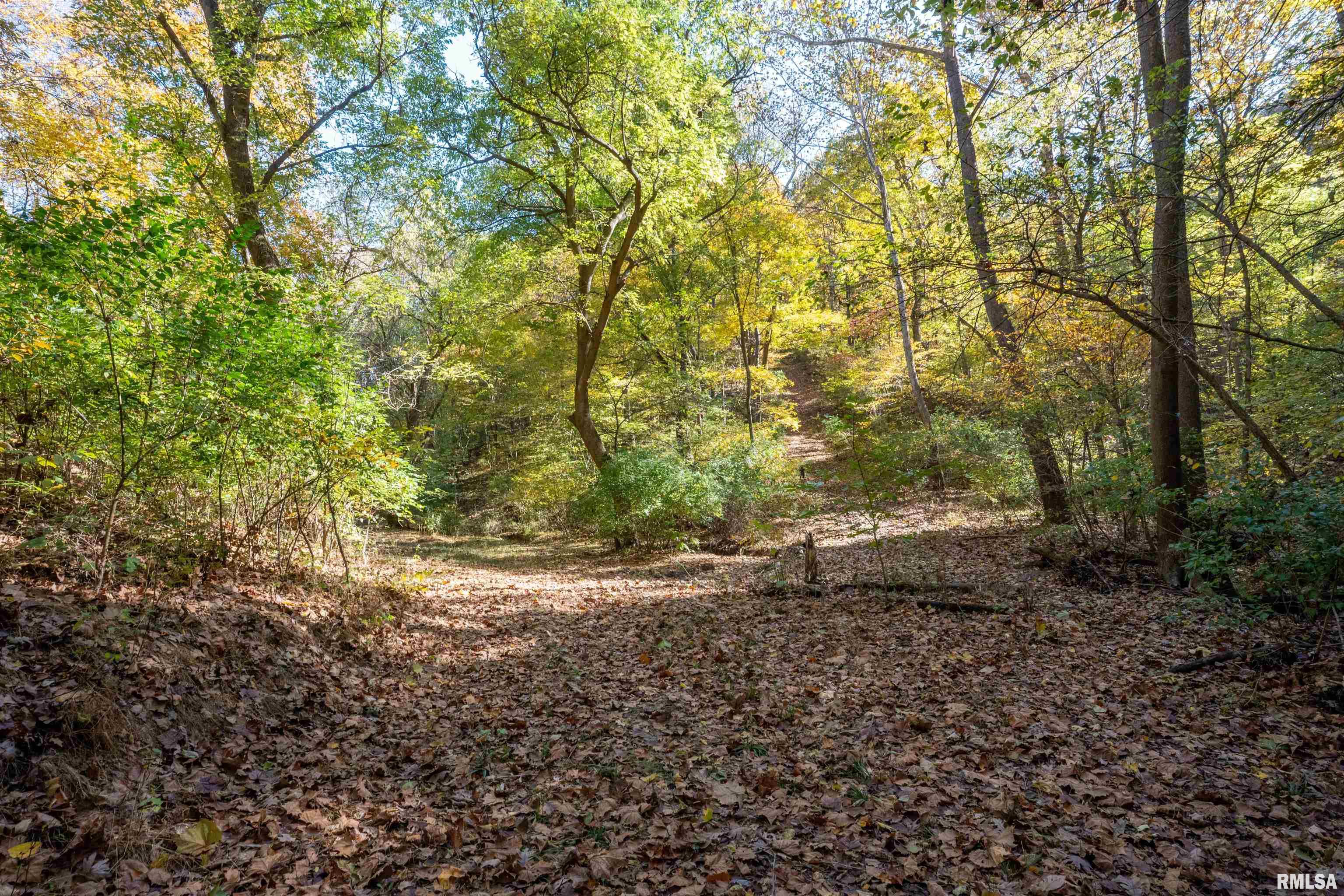 0 Eldred Road Fieldon, IL 62031 - Photo 24 of 76