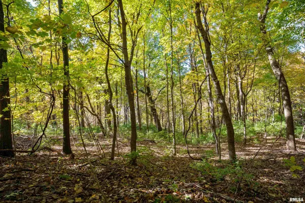 $1,274,000 | 0 Eldred Road, Fieldon, IL 62031